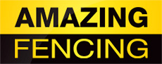 Amazing Fencing Logo