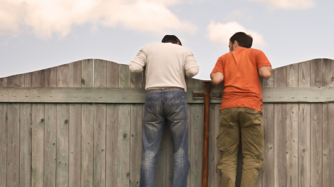 Inspecting a wooden fence,